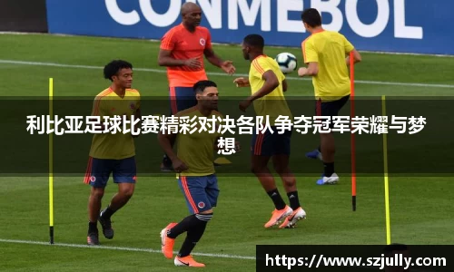 利比亚足球比赛精彩对决各队争夺冠军荣耀与梦想