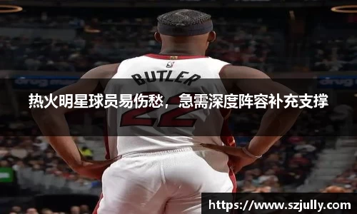 热火明星球员易伤愁，急需深度阵容补充支撑