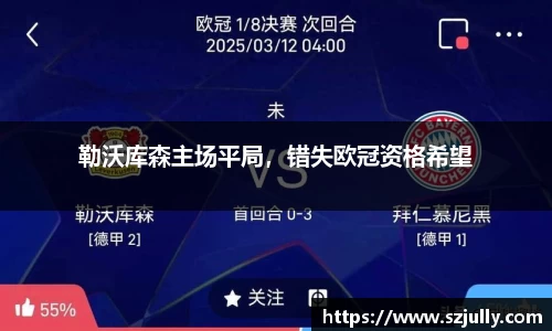 勒沃库森主场平局，错失欧冠资格希望