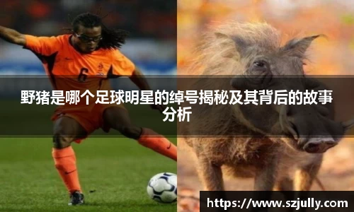 野猪是哪个足球明星的绰号揭秘及其背后的故事分析